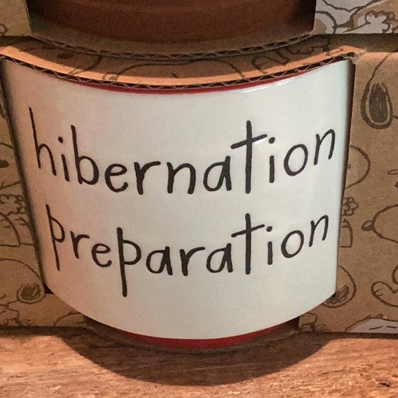 Peanuts x Rae Dunn Fall Ramekin Set - Picture 7 of 12